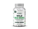 Organics Ocean Wild Sea Moss Capsules - 100% organisk Irish Sea Moss med organisk klorella, Bladderwrack og vitamin D for energi, Lung Helse og Thyroid støtte for kvinner og menn - 60 kapsler