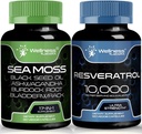 WELLNESS LABSRX Resveratrol kapsler med Sea Moss kapsler