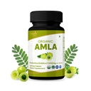 Amla 120 tabletter – USDA Økologisk Indisk Gooseberry – rik på vitamin C & støtter immun helse*