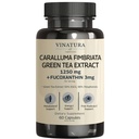 VINATURA Caralluma Fimbriata, EGCG 45% Ekstrakt 1250mg + Fucoxanthin 3mg per servering * USA laget og testet * for immunstøtte, energi og mental fokus - 60 kapsler 30 serveringer