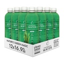 Klorofyllvann – flytende klorofyll 12-pakke (16.9oz) | Vitamin A, B12, C, D | Detox Cleanse, Alkaline vann, energiforsterkning | Vitaminvann | Plantebasert | Ren etikett prosjekt | Hydration støtte