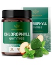 HERBAMAMA Chlorophyll Detox Gummies - 50mg Natrium Kobber Klorophyllin Intern Deodorant for Body Odor Support - Vegansk, ikke-GMO Antioksidant Supplement - 90 Pectin-basert Apple-Flavored Chews