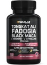 X Gold Health Tongkat Ali + Fadogia Agrestis + Black Maca - Energi, Vitalitet & Stamina Booster for menn og kvinner laget i USA