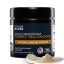 Tyrkia Tail Mushroom for hunder - hele, organiske mushroom ekstrakt - Over 50% Beta-Glucan - tredjepart testet, laget i USA - Ingen korn uten fyllstoffer - 60 dagers stor hundeforsyning