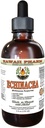 Echinacea alkoholfri flytende ekstrakt, organisk Echinacea (Echinacea Purpurea) tørket Herb Glycerite Hawaii Pharm Natural Herbal Supplement 4 oz