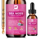 Sjø Moss flytende dråper - organisk svart frøolje Irsk sjø Moss Gel med Burdock Root, Bladerwrack, Elderberry, vitamin C, D3, 6X Sterkere Seamoss Gel for Digestive, Hår Helse - Vegan