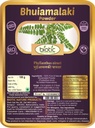 Veena Biotisk Bhumi Amla pulver (Phyllanthus Niuri) Bhoomi Amla pulver - Bhuiamlaki pulver - 100gm