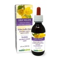 Naturalma Great Mullein eller vanlig mullein (Verbascum thapsus) Blomster og blad alkohol-fri tinktur - 4 fl oz flytende ekstrakt i dråper - Herbal Supplement - Vegan
