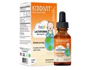 Kiddivit Baby Lactoferrin flytende dråper – Gentle Immune Support Supplement – 100 mg Formula med Prebiotic Inulin – 60 daglige serveringer – Sukkerfri, Glutenfri, Vegetarisk, 2oz