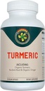Carnivora Turmeric – Støtte for ledd og digestiv helse (90 Vegankapsler)