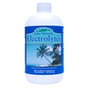 Edin elektrolyter - flytende elektrolyte dråper, Ionic Mineral Supplement for å tilsette i vann, Replenish & Balance Electrolyte Equilibrium, Hydration Support, ikke-sveiset sukker gratis - 18 oz