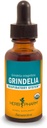Herb Pharm Grindelia flytende ekstrakt for respiratorisk systemstøtte - 1 Ounce (DGRIND01)