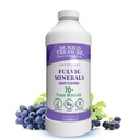 Begravet skatt Fulvic Minerals Grape Flavored - Colloidal Minerals fra Humic Fulvic Acid, Electrolytes fra Trace Minerals for Recovery and Wellness Support. Legg til i vann – 32 serveringer