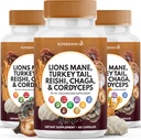 Lions Mane Mushroom Supplement med Tyrkia Tail Reishi Cordyceps Chaga med Marshmallow Root - 180 Count