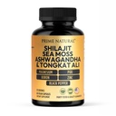 Shilajit 10 000mg, Irsk Hav Moss 2000mg, Ashwagandha 3000mg, Tongkat Ali 30.000mg, Bor, Magnesium, PQQQ & mer | 60 kapsler - 30 dagers forsyning | Fulvic Acid Veg Kapsler | Vegan enhver | Glutenfri
