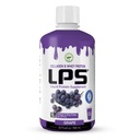 LPS flytende kollagen & Whey Protein Supplement - Sukker-fri, Dye-fri, ikke-GMO drikke - Hydrolysert kollagen & Whey Peptides fremmer sunn hud og hår for menn og kvinner, Grape, 32 fl oz