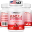 Urolitin A Supplement 1400 MG - Ikke-GMO, Glutenfri, Anti-Aging, Cellular Renewal, Muskelstyrke, Utholdenhet og langvarig støtte, Liposomal Urolitin A, 60 greve