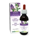 Naturalma Alfalfa eller Lucerne (Medicago Sativa) urt med blomster alkoholfri tinktur - rik på naturlig klorofyll - 4 oz flytende ekstrakt i dråper - Herbal Supplement - Vegan