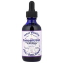 Indre vitalitet, konsentrat, fulviske/humiske mineraler, 2 fl oz