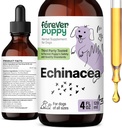 Forever Puppy Echinacea Drops for hunder - Immunitetsstøtte og pustende helse m / Echinacea Herb Extract - flytende immunstøtte Supplement for hunder av alle avler og størrelser - 4 oz