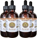 Hawaii Pharm Sag Palmetto (Serenoa Repens) Liquid Extract 4x4 fl.oz