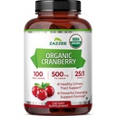Zazzee USDA Organic Cranberry 25:1 Ekstrakt, 500 mg per kapsel, 100 vegansk kapsler, over 3 måneders forsyning, standardisert, konsentrert 25X ekstrakt, 100% vegetarisk, sertifisert organisk, ikke-GMO all-naturlig