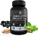 Shilajit Himalayan Supplement 60% Fulvic Acid, 120 Vegan Capsules Supply med ren naturlig Shilajit, Ashwagandha, Ginseng Extract - høy i spor Mineraler for menn Energistøtte