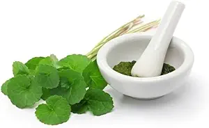 (pakke med 2) Organisk Centella Asiatica pulver (50 g)