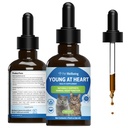 Kjæledyr velvære unge i hjertet for katter - Vet-formulert - hjertehelse, sirkulatorisk og kardiovaskulær system, Hawthorn, Motherwort, Schisandra - Herbal Supplement 2 oz (59 ml)