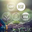 ML Naturals Fosfatidyl Serine 200 mg (Standard) 240 grønnsaker kapsler. Støtter minne- og hjernefunksjon, ikke-GMO, NSF-sertifisert og cGMP-kompliant