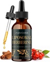 Liposomal Berberine Drops Supplement 3000 mg - høy absorpsjon AMPK aktivator, organisk Berberine HCl Complex med Ceylon Cinnamon & Ginger for immun & Digestion (2 fl oz)