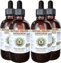 Cinnamon alkohol-fri flytende ekstrakt, kanel (Cinnamomum Verum) tørket Bark Glycerite Hawaii Pharm Naturlig Herbal Supplement 4x4 oz