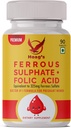Hoag jern 65 mg Ferrous Sulfat med kalsium & folsyre Supplement støtte rødt blodcelle produksjon - 90 Veg tabletter