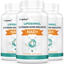 Orgabay Liposomal NAD+ Supplement 500 mg, høy absorpsjon, økt NAD+ med TMG 250 mg, faktisk NAD Plus mer effektiv enn Nicotinamid Riboside, støtte Cellular Energy, sunn aldring | 180 Softgels