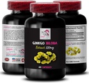 Ginkgo biloba Supplement - Ginkgo BILOBA Ekstrakt - Naturlig antioksidant Ekstrakt, Herbal antioksidant Support, Ginkgo biloba Fordeler, Botanisk Ekstrakt Supplement, Plantebasert antioksidant 1 Bot 60 Caps