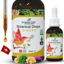 Naturlige botaniske dråper – Ginger og digestive enzymer i en organisk formel for omfattende velvære, støtte immunsystem, fremme inflammasjon relief og forbedre blodsirkulasjon (50 ml)