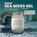 Ashwagandha Mango Sea Moss Gel Organic fersk frukt infundert Wild Harvested Irish Sea Moss Gel | Immun og Digestiv støtte | Vitamin Mineral Antioksidant Supplements | (16 oz. Ashwagandha Mango)