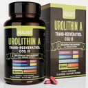 Urolitin Et kosttilskudd for urban arbeidskvinner: Anti-aldringskapsler med trans-Resveratrol og CoQ10 - USA Lab verifisert støtte Sunn aldring og Cellular Renewal(9in1)