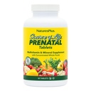 Natures Plus Kilde til livet Prenatal - 800 mcg Folat, 90 vegetariske tabletter - Alle naturlige prenatal vitaminer og mineraler med jern og kalsium - Optimal helse og energi - Glutenfri - 45 Services