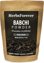 Herbsforever Babchi pulver 230g – Rene Psoralea Corylifolia Churna – Tradisjonelt brukt til hud- og velværestøtte – Ikke-GMO, Ingen tilsetningsmidler – Ekstern og intern bruk – Lab Testet