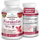 Ultra ren forskolin for vektkontroll maksimal styrke | Coleus Forskohlii Root Extract pulver, 40% standardisert Lean Supplement for menn og kvinner | Premium Extreme Boost Complex - 60 kapsler