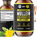 HERBIFY Mullein Extract 2 oz Tinktur for pustende helse, Mullein leaf og blomster blanding (Verbascum Densiflorum)