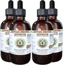 Hibiscus alkohol-fri flytende ekstrakt, økologisk Hibiscus (Hibiscus Sabdariffa) tørket blomst glykeritt Hawaii Pharm Naturlig Herbal Supplement 4x4 oz
