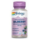 SOLARAY Bilbær Berry ekstrakt 60 mg per kapsel, kraftig antioksidant, garantert styrke for sunn visjon og sirkulasjonsstøtte 120 Vegkaps