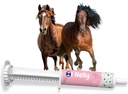Hesteprobiotika (80cc), Hestepasta Pre og Probiotika + Vitamins &Minerals- 4 Strains og 8 milliarder CFU per Serving- Immune og Gastro Helse Støtte for Equines