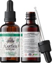 Plantain Tinktur, Organisk Plantain Extract (Plantago Major) Tørket Leaf Helse Supplement, Ikke-GMO i Cold-Pred Organic Grønnsaker Glycerin 2 oz, 670 mg