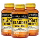 Mason Natural Daily Blader Comfort, 30-dagers levering, med kalsium, pumpefrø, og soya Germ å støtte normal bladder funksjon, 60 kapsler (pakke med 3)