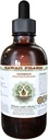 Feberfew alkohol-fri flytende ekstrakt, organisk feberfeber (Tanacetum parthenium) tørket Herb Glycerite Hawaii Pharm Naturlig Herbal Supplement 4 oz