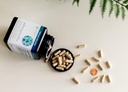 Ashwagaandha Supplement Organic KSM-66 Ashwagaandha Vegetarisk Supplement 180 kapsler, 1000 mg per daglig servering, hjelpe støtte sunn stress ledelse respons, klar
