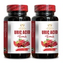 URIC Acid Support - gjenopprette felles komfort, mobilitet, fleksibilitet, inkluderer Tart Cherry, Chanca Piedra, Celery Extract & Turmeric - 2 flasker 120 kapsler